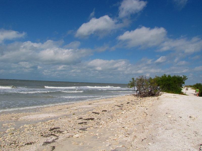 Beach at Honeymoon Island State Park